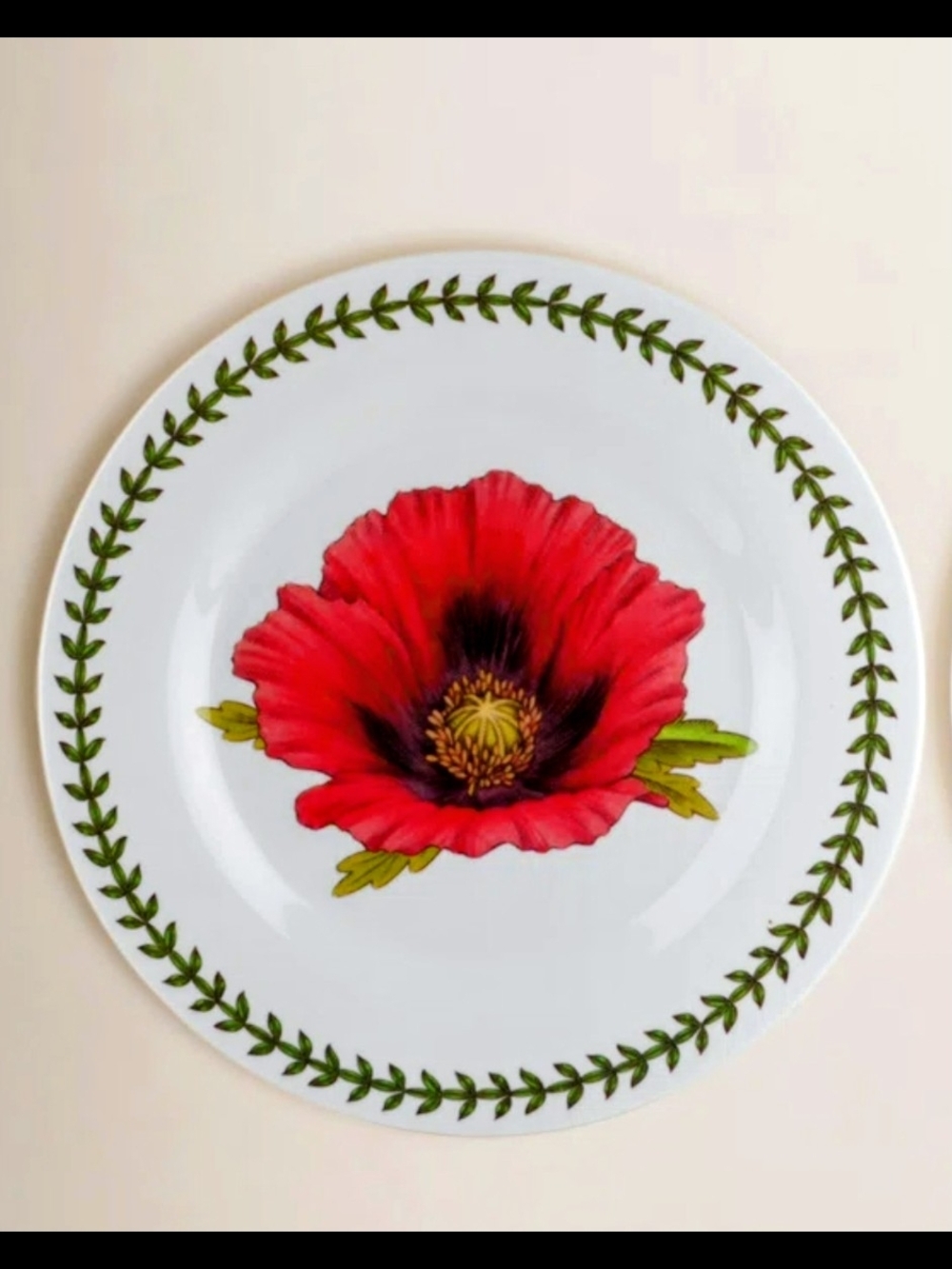 ❣️NIB BOTANIC SALAD PLATES - Picture 4 of 15